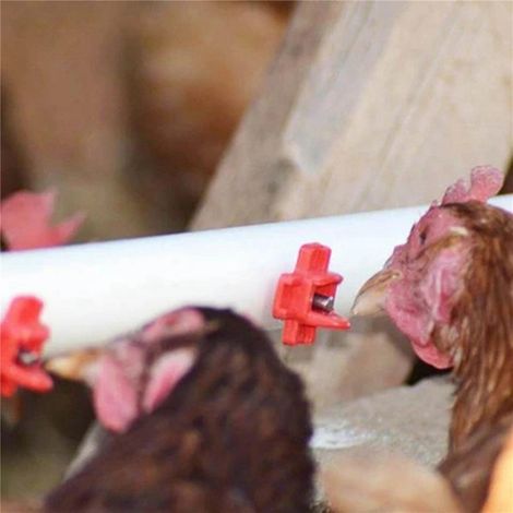 Lot de 12 abreuvoirs automatiques horizontaux à tétine latérale pour volailles - Abreuvoirs propres pour poulets ou cailles (1/4)