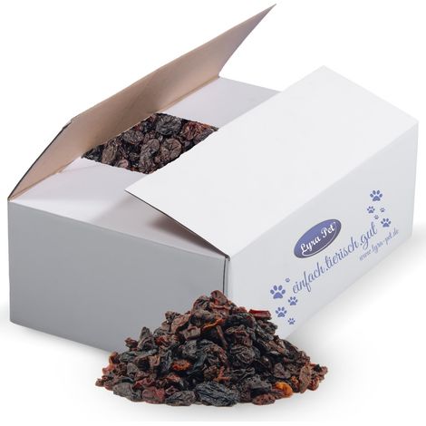 10 kg de raisins secs Lyra Pet®