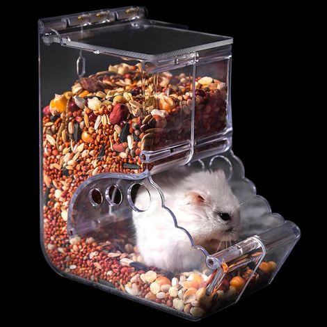Distributeur nourriture hamster/400 ml, automatique, pour cochon d’Inde, hérisson, écureuil (1/4)
