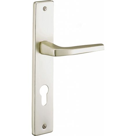 Thirard – Ensemble de poignées pour porte d'entrée Picardie – Trou de cylindre – Carré 7mm – Entr'axes 195mm – Aluminium couleur champagne