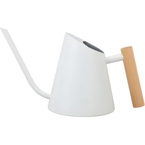 Arrosoir à long bec 800 ml en acier inoxydable mat avec poignée en bois pour plantes d'intérieur, jardin et fleurs (blanc). (1/3)