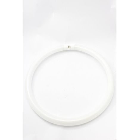 Reer lampada circolina fluorescente 40w 6500k luce fredda g10q 5455381 (1/2)