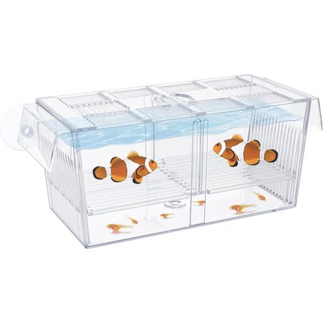 1 Boîte D'incubation Acrylique, Séparateurs Amovibles, Ventouses, Pour Aquarium Poissons Crevettes (1/5)