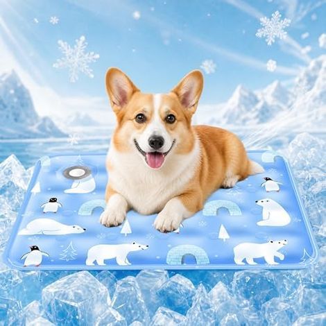 Cooling Mat for Dogs and Cats, Self-Cooling Pet Mat, 50x60cm Waterproof Foldable Cooling Cushion, Easy to Clean, for Dogs and Cats in Hot Summers (1/5)
