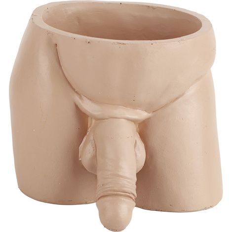 Pot de fleurs original à offrir, idéal pour les petites plantes d'intérieur et les succulentes. Décoration intérieure.
