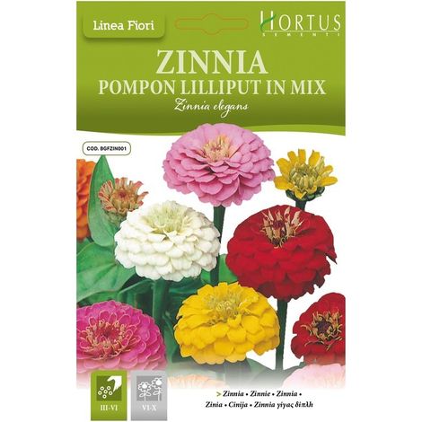 ZINNIA POMPON LILLIPUT MIX DB