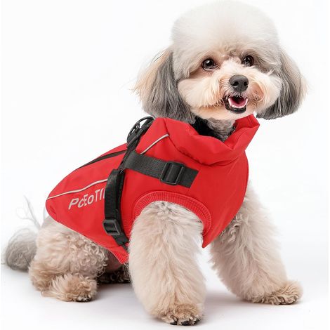 Manteau imperméable pour Chien de Petite Taille, Rouge M (1/5)