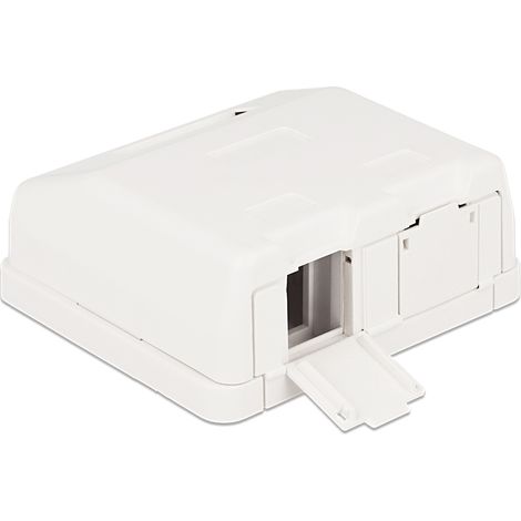 Caja de superficie vacia para 2 hembras de panel con tapa para el polvo Delock