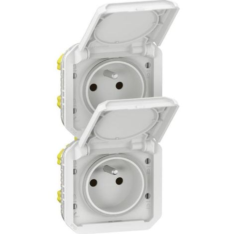 Prise de courant 2x2P+T verticale Plexo composable blanc (069643L) (1/4)