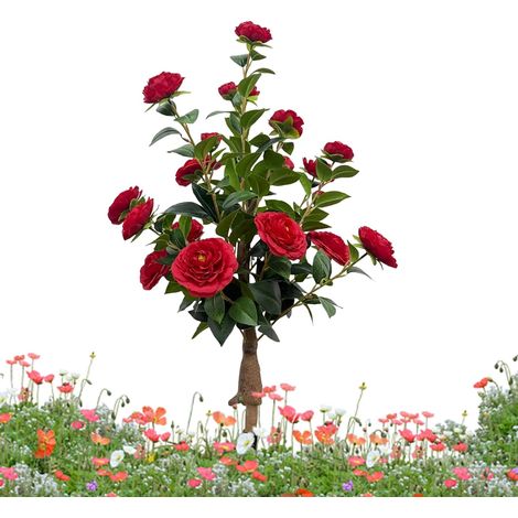 Artificielles pour Extérieur avec Piquets de Sol de Camélia Réaliste  Arbre Faux pour Porche Devanture Pour extérieur jardin cour patio passage maison femmes anniversaire fêtes fête (1/5)