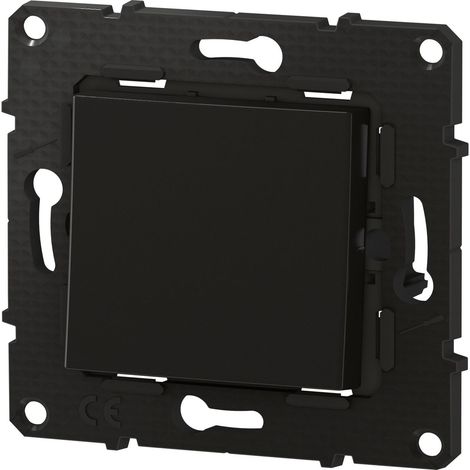 Legrand – Interrupteur va-et-vient 10A – bornes automatiques – finition Nuit – pour installation électrique – BTAL01SD (1/5)