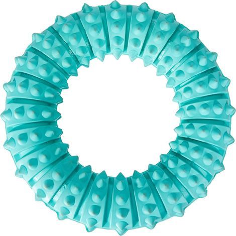 Jouet à Ronger - Caoutchouc Naturel - Diamètre 12 cm - Pour Chiots - Lot de 3 (1/5)