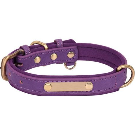 Confezione singola di collare per cani resistente di colore viola con fodera a contrasto, taglia M. (1/4)