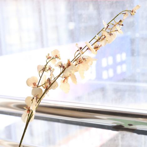 Orchid Artificielle - Vase Faux Orchidée Phalaenopsis 92 cm - Décoration Intérieure Salon Chambre Bureau Hôtel - Lot de 1 (1/5)