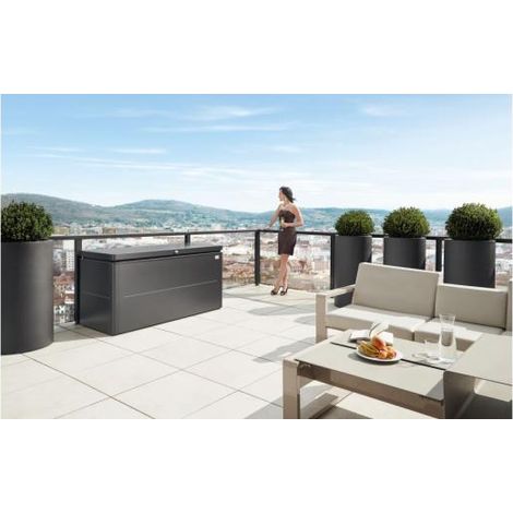 ARCON BAUL METALICO BIOHORT LOUNGEBOX 200 COLOR GRIS CUARZO METALIZADO (1/5)