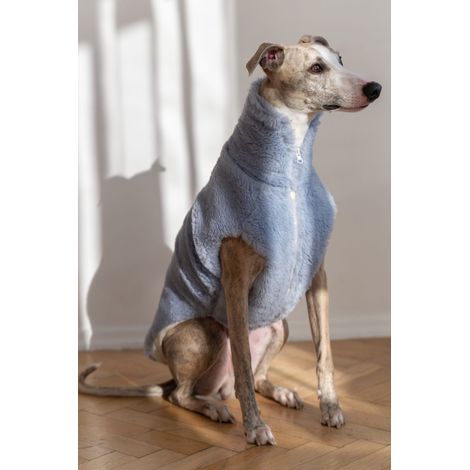 Chaleco de lana para perro - Azul 1 (1/4)