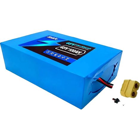 Pack de batterie lithium, capacité 100AH, design léger, SM XT60 (1/2)