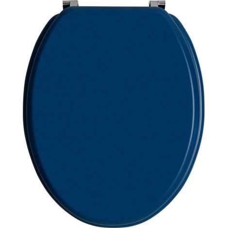 Wirquin 20722726 - Sedile WC Color Line Woody, colore: Blu opaco (1/5)