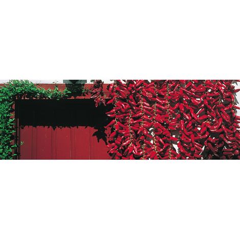 Tableau sur toile piments d'Espelette 45x135 cm - Impression sur Toile Murale Décorative - Image imprimée en HD sur Toile - Toile sur Châssis en Bois FSC - Fabriqué en France (1/4)
