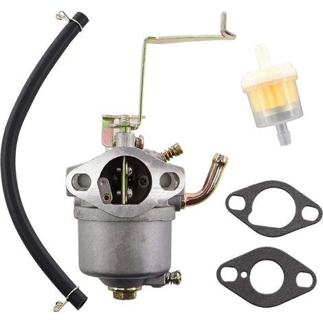 Carburateur avec joint de durite de filtre à essence pour groupes électrogènes Einhell STE 800, STE 8000/1, STE 800/1, BEX/1 (1/5)