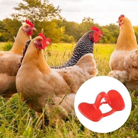 50 pezzi di occhiali anti-beccata per polli – Protezione senza viti, colore rosso, attrezzatura agricola per pollame (1/3)