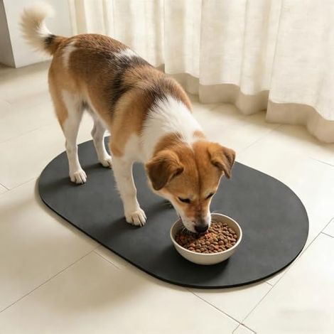 Tapis pour gamelle de chien 30×50 cm, en terre de diatomées antidérapante, facile à nettoyer grâce à son envers en caoutchouc. (1/5)