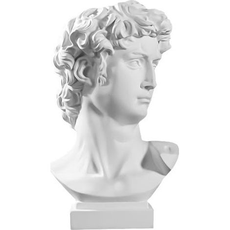 Vase, pot de fleurs, statue, buste de David grec, sculpture en résine, décoration sombre, chambre, style cadrage, figurine succulent (1/5)