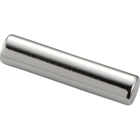 TRU COMPONENTS TC-12260104 Permanent-Magnet Stab (Ø x H) 5 mm x 22 mm    Grenztemperatur (max.): 100