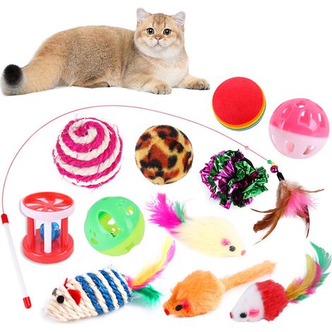 Ensemble de 12 jouets pour chat, jouet interactif, balles pour chat, souris (1/5)