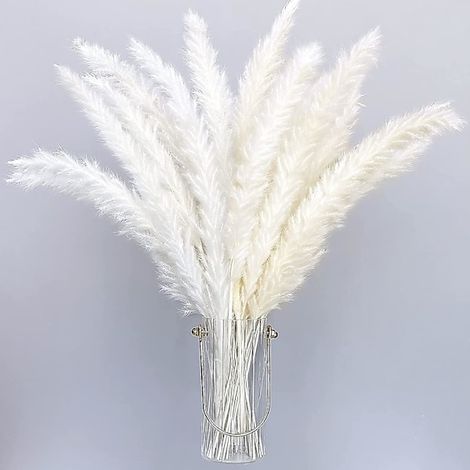 Lot de 30 Pampas Séchées Style Bohème, Herbes Artificielles pour Déco Maison, Phragmites Fleurs Séchées en Vase, Bouquet Blanc Mariage, 55cm (1/4)
