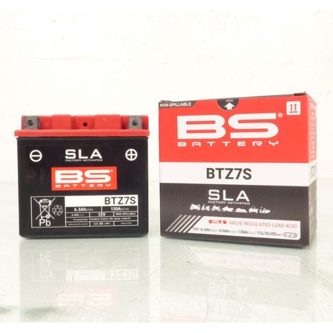SLA-Batterie BS Batterie für Motorrad Yamaha 250 WRX 2008 bis (1/2)