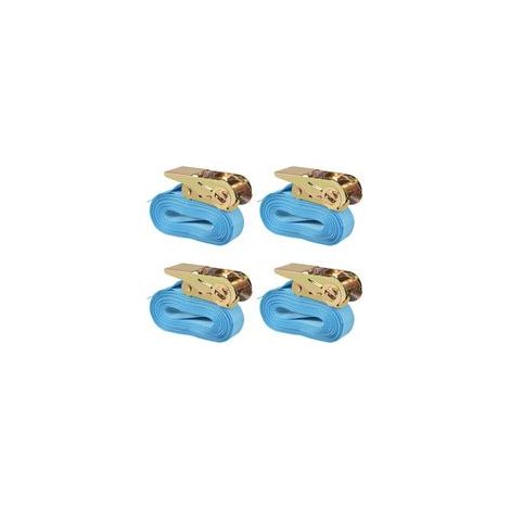 Ratschenzurrgurte, 4er-Set, 0,8 Tonnen, 6 m x 25 mm, blau - Crezuo (1/4)