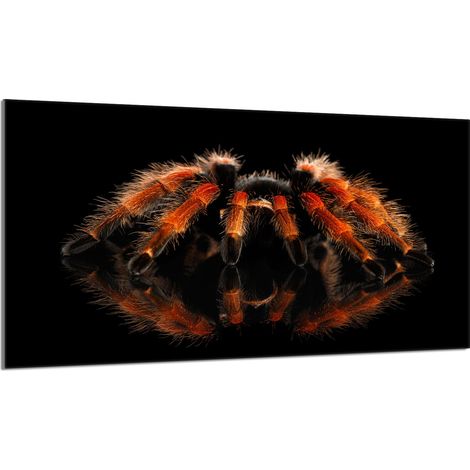 Glasschutzplatte für den Herd 90x52 Spider (1/5)