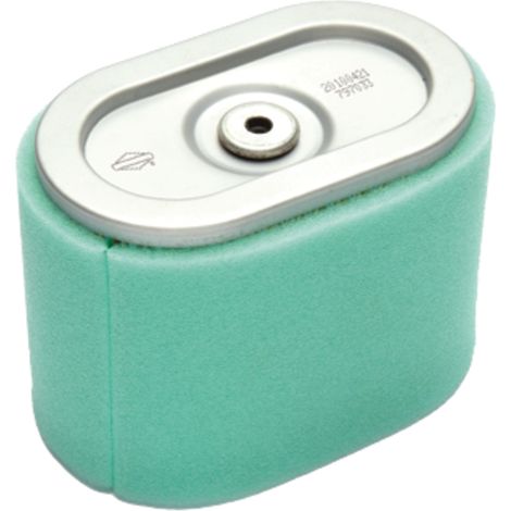 Filtro aria BRIGGS STRATTON 797032 33270846