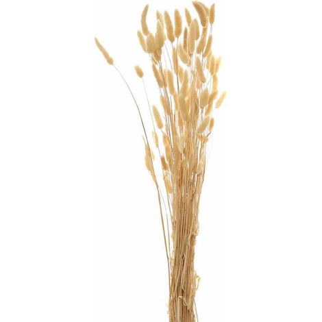 Bouquet of Tall Bunny Tails Artificial Plant - L18 x W18 x H76 cm - White