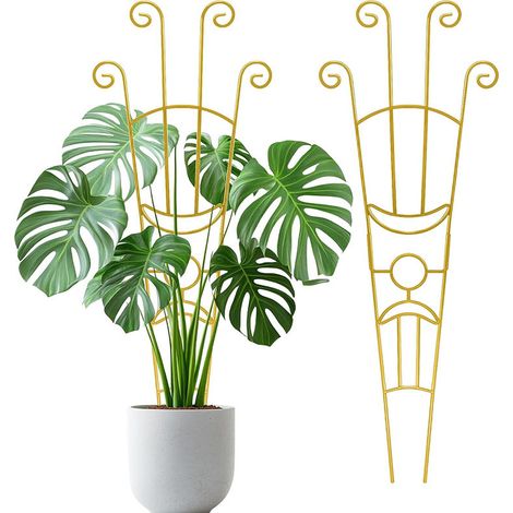 Supports métalliques pour plantes grimpantes, adaptés aux plantes en pot d'intérieur et d'extérieur, couleur or, lot de 4 (1/5)