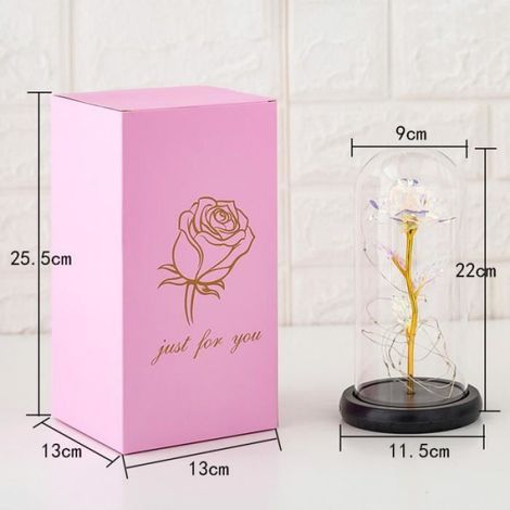 Rose Eternelle, rose dans le dôme de verre, rose éternelle en or rose LED, mariage, Saint Valentin, fête des mères(rouge) (1/4)