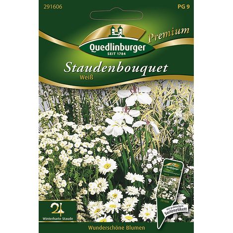 Quedlinburger Staudenbouquet Weiß - Blumensamen