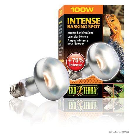 Exo Terra Intense Basking Spot, 100W