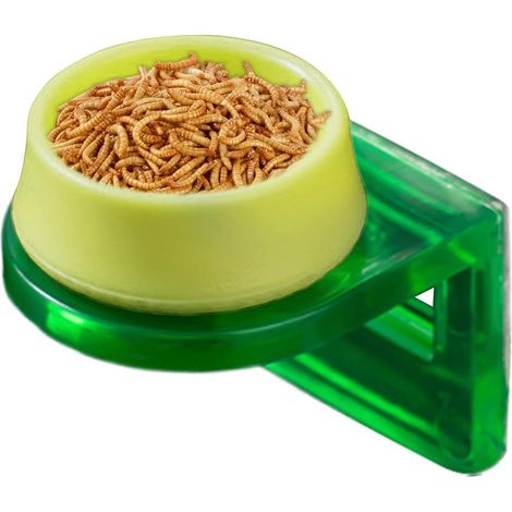 Bol pour nourriture gecko cresté – Récipient amovible pour terrarium, bac à eau pour reptiles, support hygiénique pour lézards, caméléons et amphibiens Accessoire résistant pour habitat (1/5)