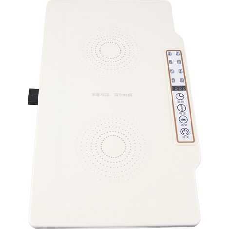 [Plateau chauffant électrique] + multifonctionnel + [design folding] + [Isolation alimentaire, 10 régulations de température] (1/4)