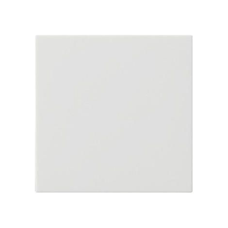 Schalter Gira 537203 Weiß System 55 modern