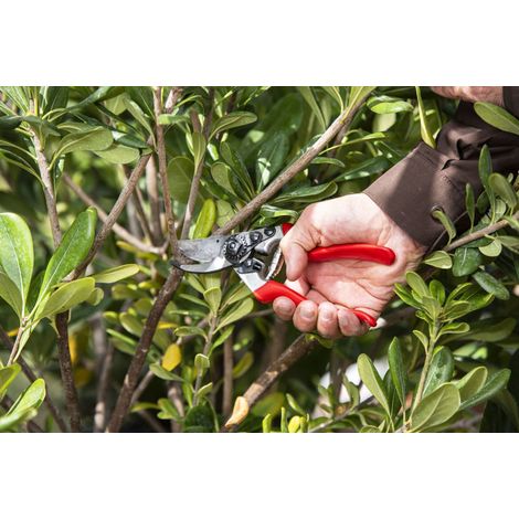 FELCO 8 forbice bypass ergonomica per destrimani, lama acciaio temprato 52 mm, manici in alluminio forgiato, testa inclinata, ammortizzatori, mano grande, taglio 25 mm, utensile professionale (1/5)