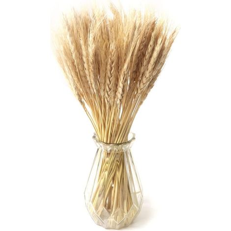 100PCS Fleurs séchées Blé Naturel Décoration Bouquet Blé pour Mariage Décor Maison Balcon Fête Table Vase (Beige) (1/5)