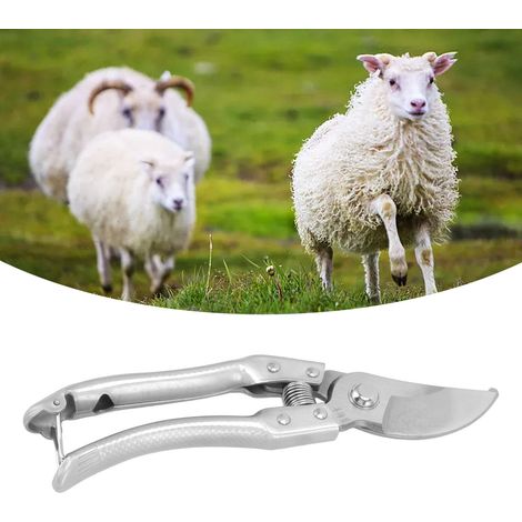 Klauenschere für Schafe, Klauenschere für Schweine, Krallenschere für Tiere, Klauenscherwerkzeug für Kühe, silberfarben. (1/5)
