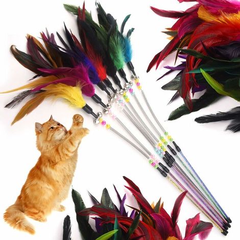 Jouets pour Chat avec Plumes et Baguette pour Chat Jouet en Forme de Plume pour Chat (Lot de 7) Lefou (1/5)