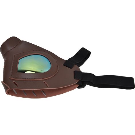 Gesichtsmaske für Hunde, blendfreie Schneebrille, Skibrille, Hundezubehör für draußen (1/5)