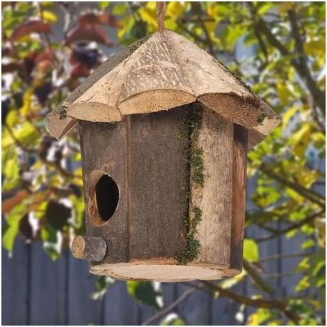 Nichoir à oiseaux en bois naturel - Nichoir à oiseaux d'extérieur robuste - 16 cm x 16 cm - Cabane à oiseaux rustique pour moineaux et rouges-gorges - Décoration de jardin suspendue (1/5)