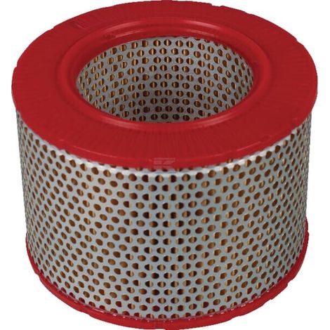Filtre à air Mann Filter C1555/6 (1/2)