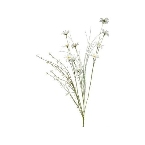 MARGHERITE A MAZZO 20CM